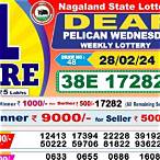nagaland lottery result today 8pm
